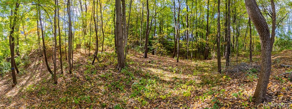 9933 Kingston Ridge, Clarkston, MI 48348 — Photo 8