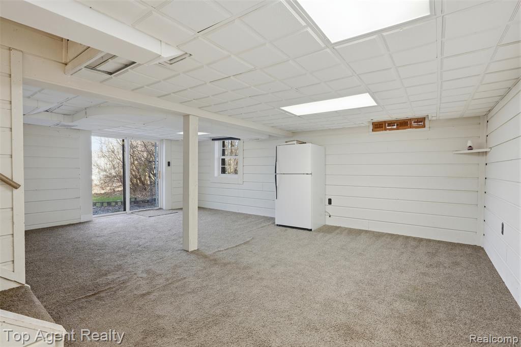 Finished below grade area featuring carpet flooring and wood walls