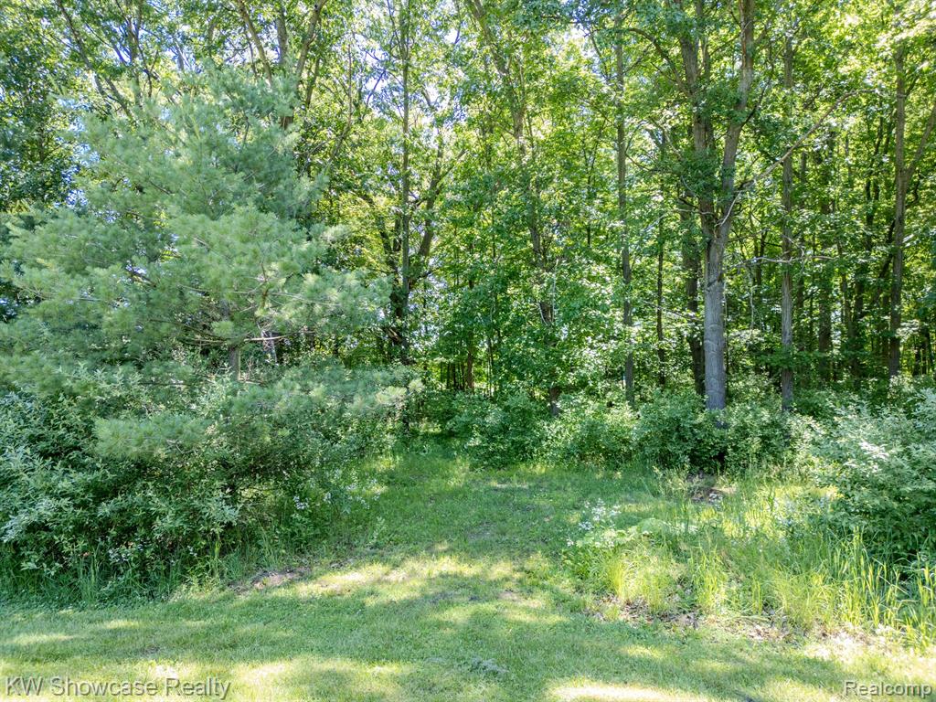 9246 WHITE Road, Linden, MI 48451 — Photo 24