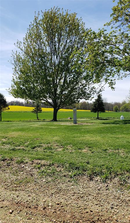 12793 Gibbs Road, Springport, MI 49284 — Photo 7
