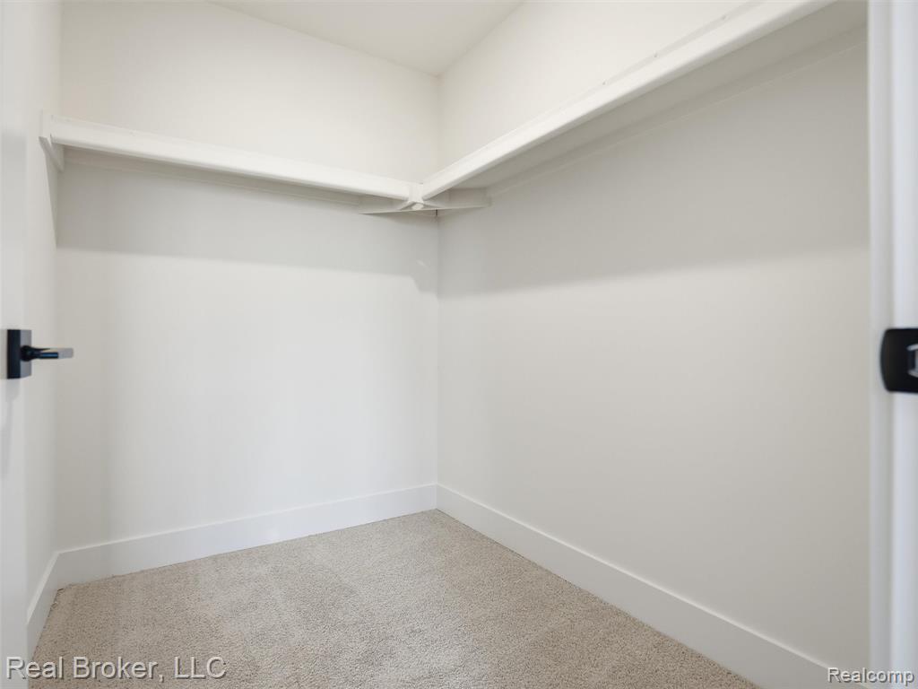 Walk in closet featuring carpet flooring
