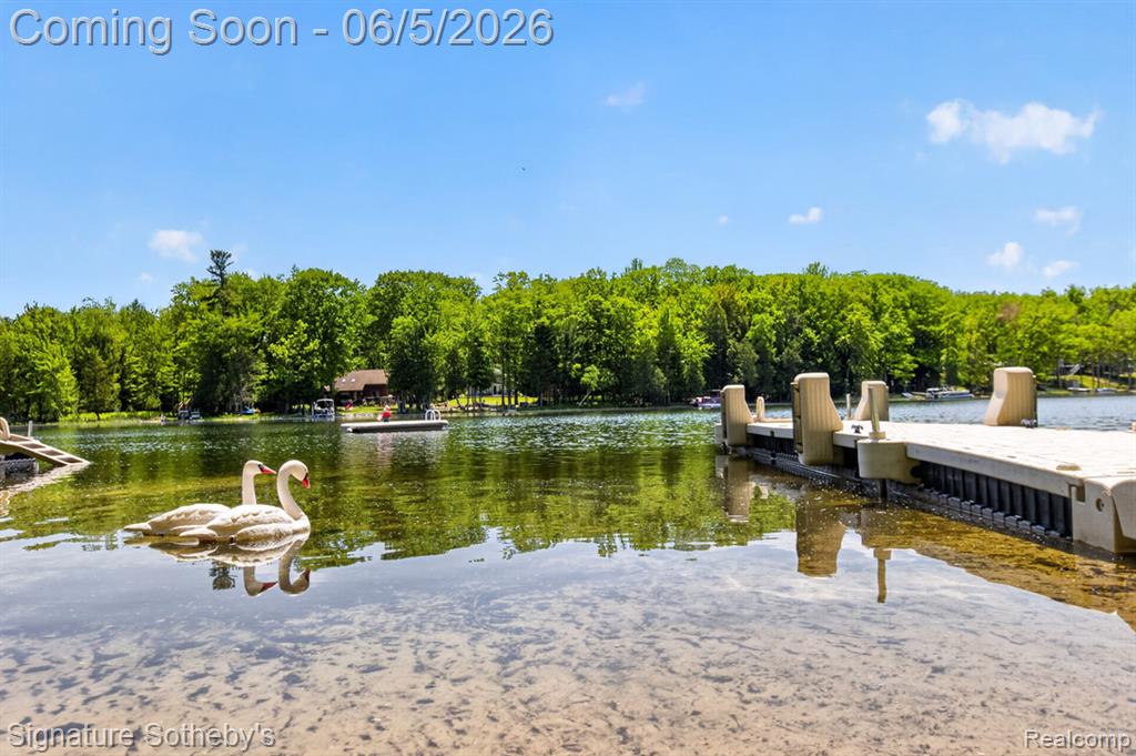 5084 N Birch Avenue, Fountain, MI 49410 — Photo 63