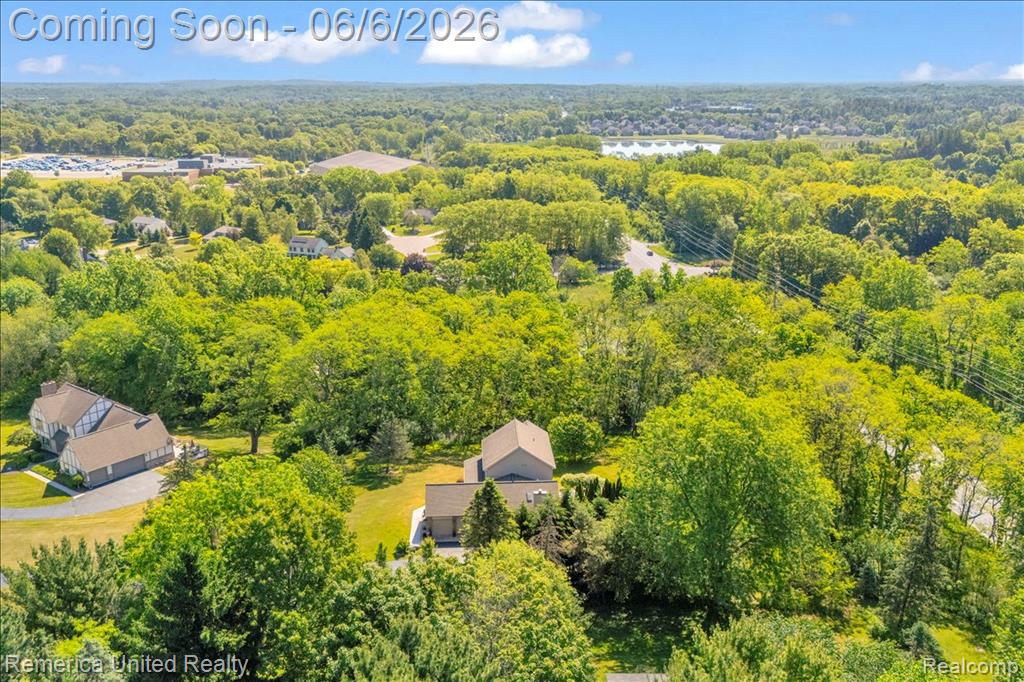 6503 MOUNTVIEW, Brighton, MI 48116 — Photo 62