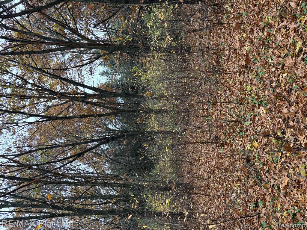 Wasson Road, Gregory, MI 48137 — Photo 5