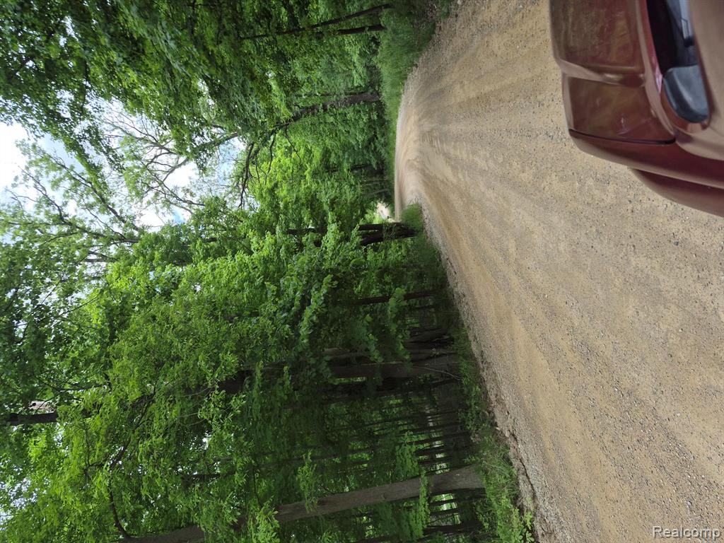 18073 Sharon Valley Road, Manchester, MI 48158 — Photo 23