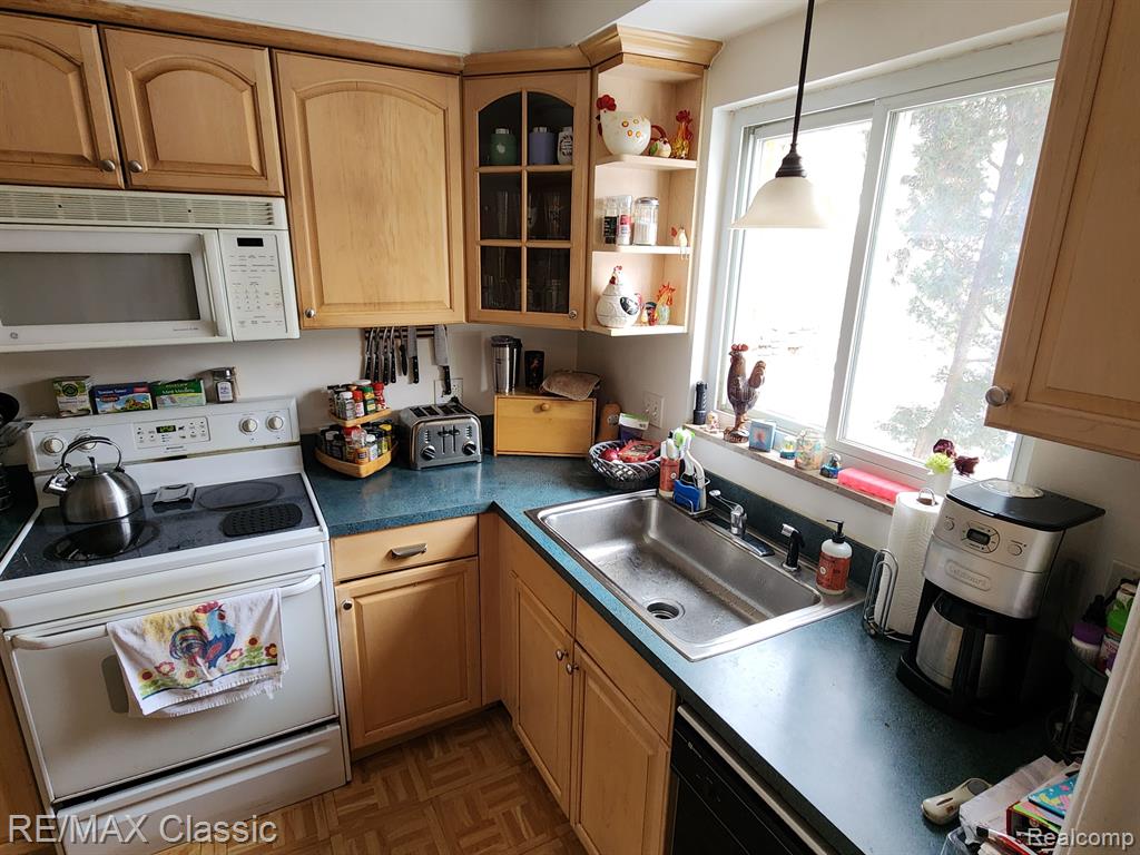 508 W HOUSTONIA Avenue, Royal Oak, MI 48073 — Photo 7