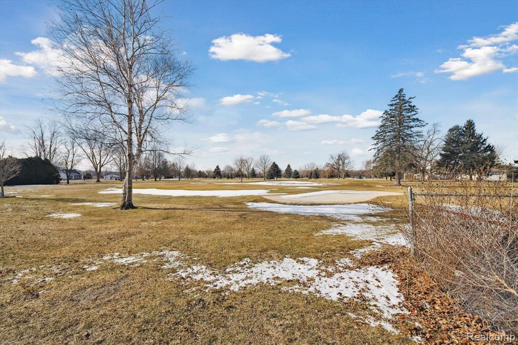 13611 S CUSTER Road Road, Dundee, MI 48131 — Photo 56