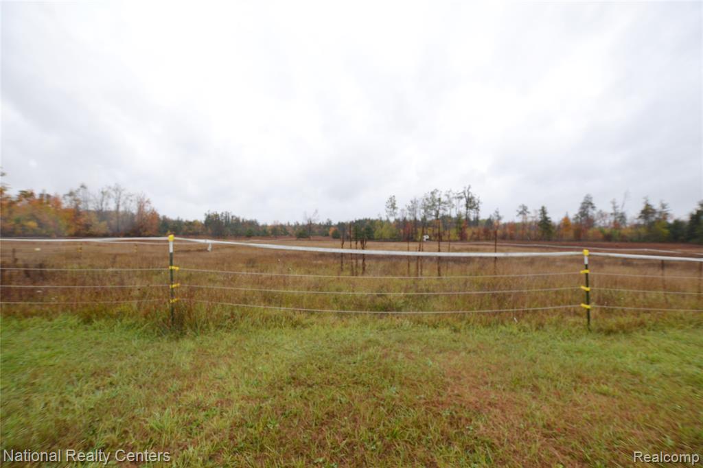 16852 Hayes Road, Hillman, MI 49746 — Photo 4