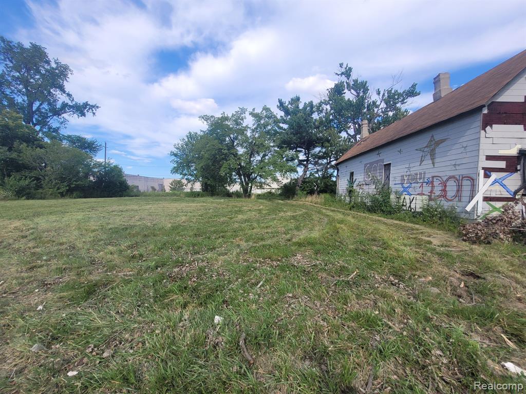 3424 MOUNT ELLIOTT Street - Photo 2