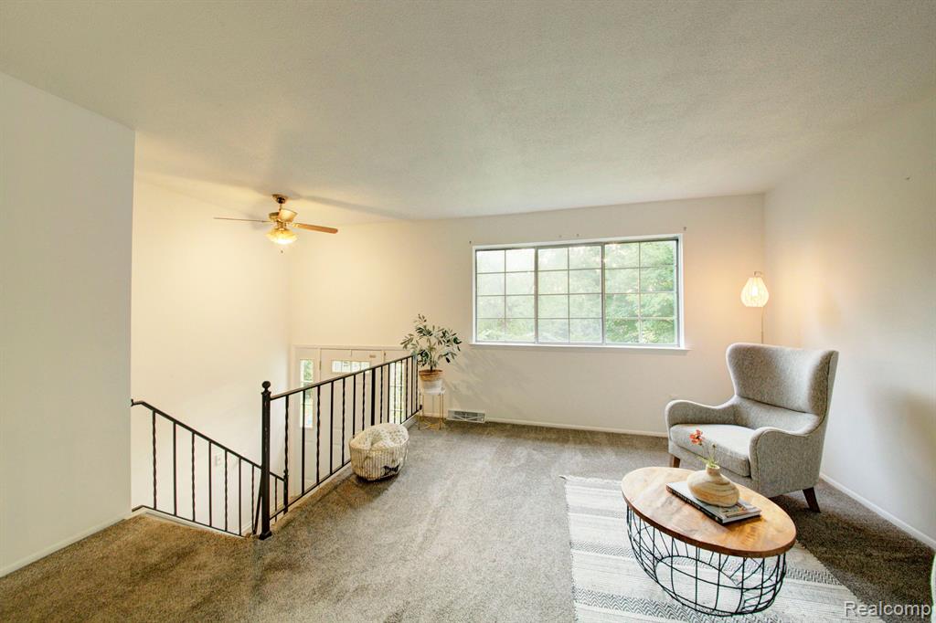 5221 VAN WINKLE Street, Brighton, MI 48116 — Photo 4