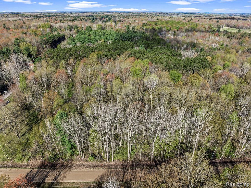 #AAA V/L Maplegrove Lane, Vassar, MI 48768 — Photo 3