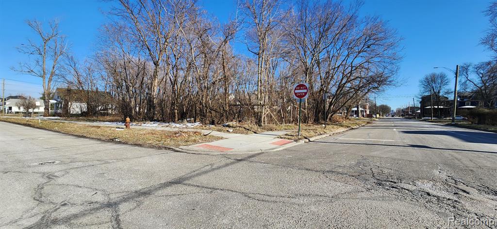 402 E EUCLID Street, Detroit, MI 48202 — Photo 5