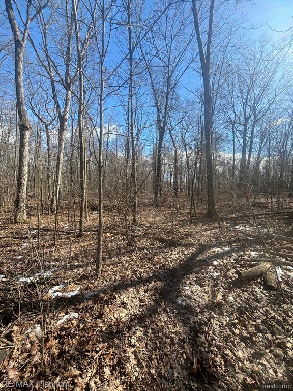 V/L HARTLAND ROAD, Fenton, MI 48430 — Photo 8
