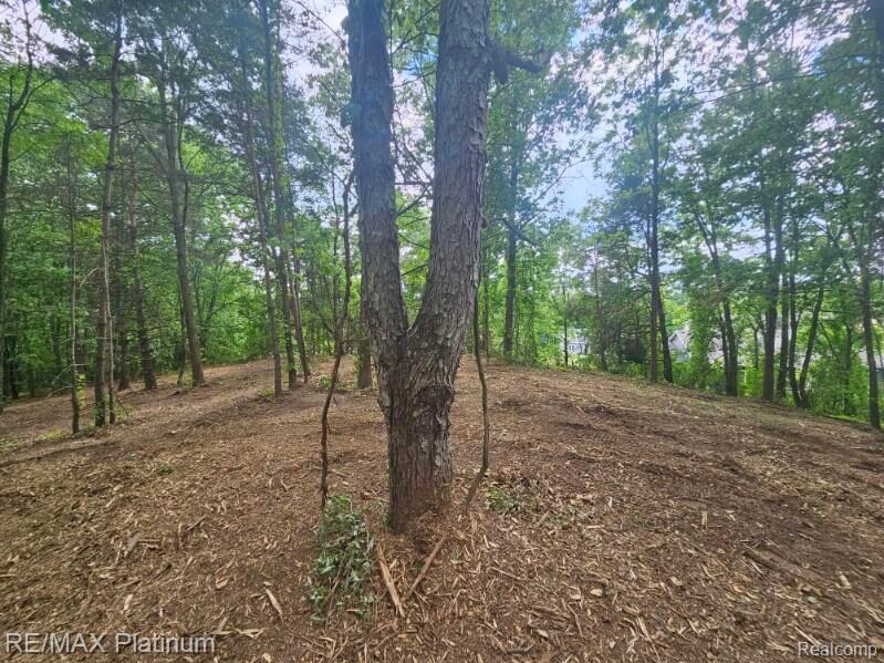 4253 Link Drive, Brighton, MI 48114 — Photo 7