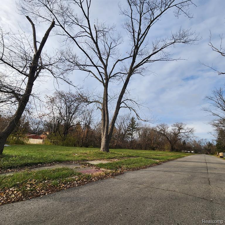 15401 HAZELTON Street, Detroit, MI 48223 — Photo 4
