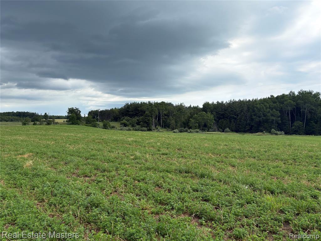 300 W Hubert Road, Spruce, MI — Photo 12