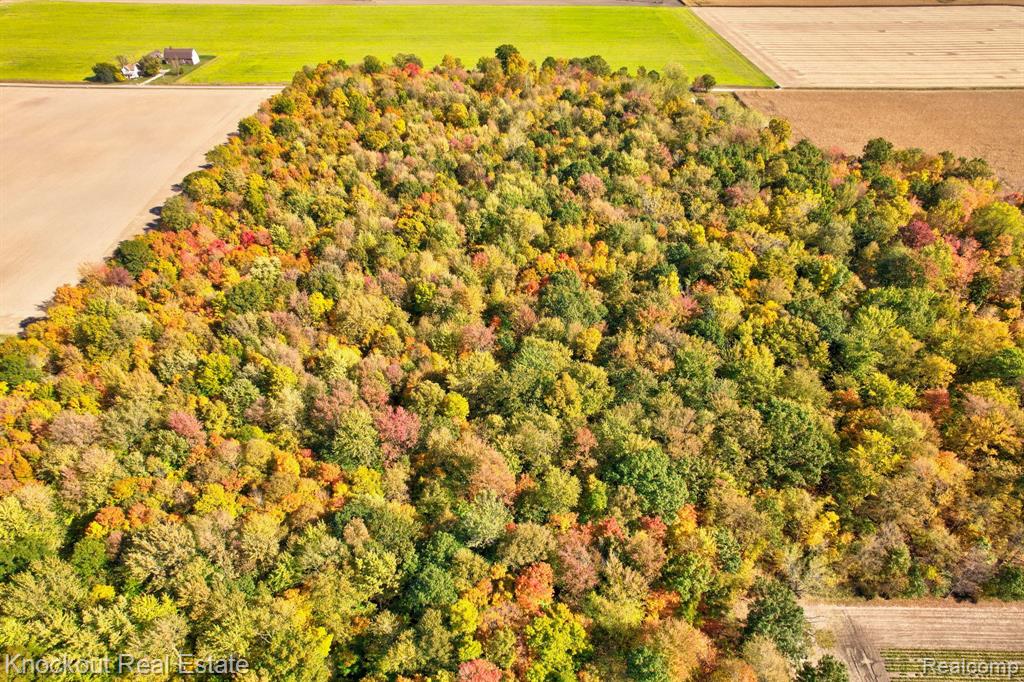 4000 S Reese Road, Frankenmuth, MI 48734 — Photo 12