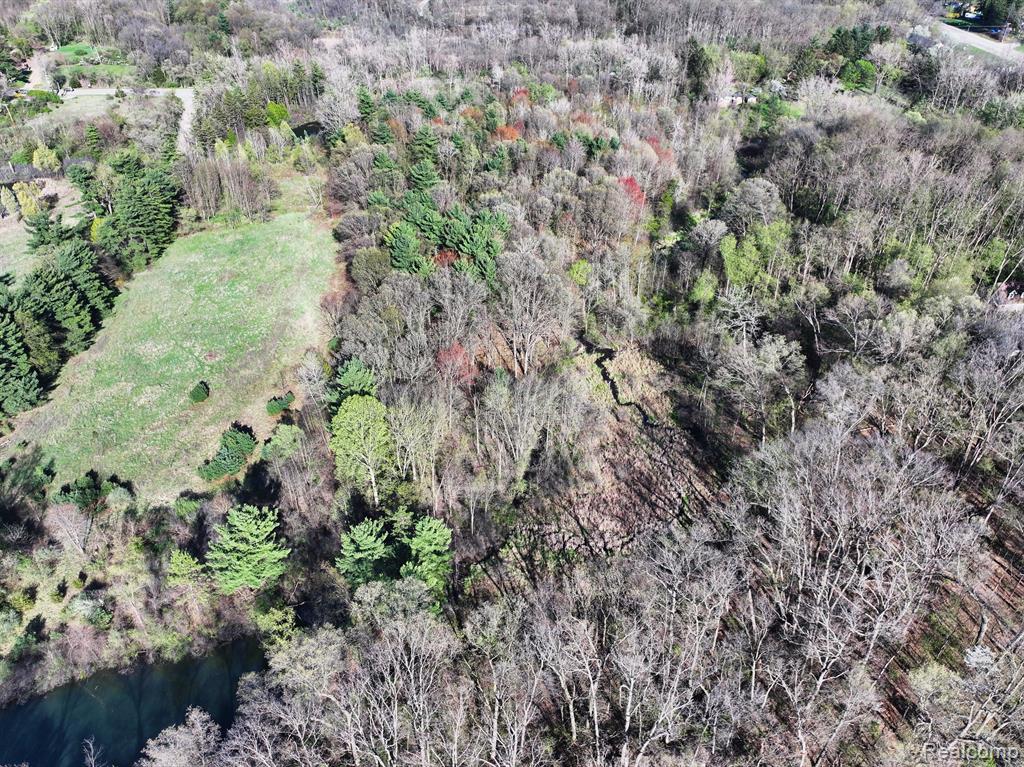 5920 PLEASANT VALLEY Road, Brighton, MI 48116 — Photo 8