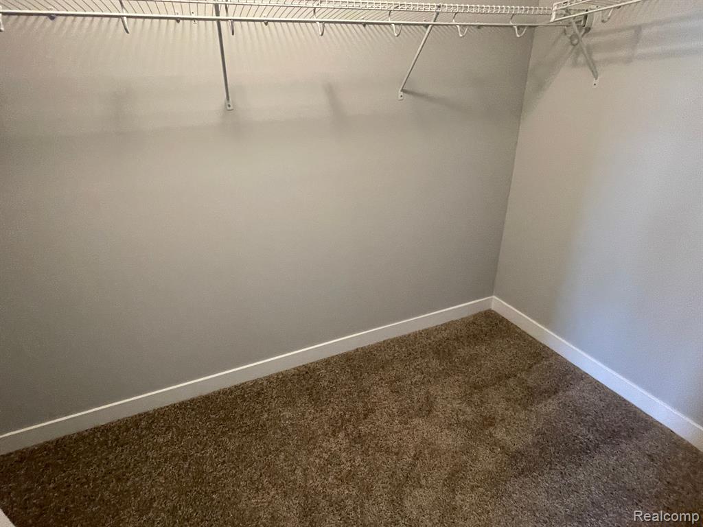 41558 ORIANNA Lane, Novi, MI — Photo 20