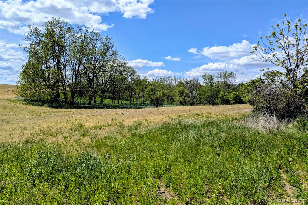Parcel D - Hogan Road, Linden, MI 48451 — Photo 4