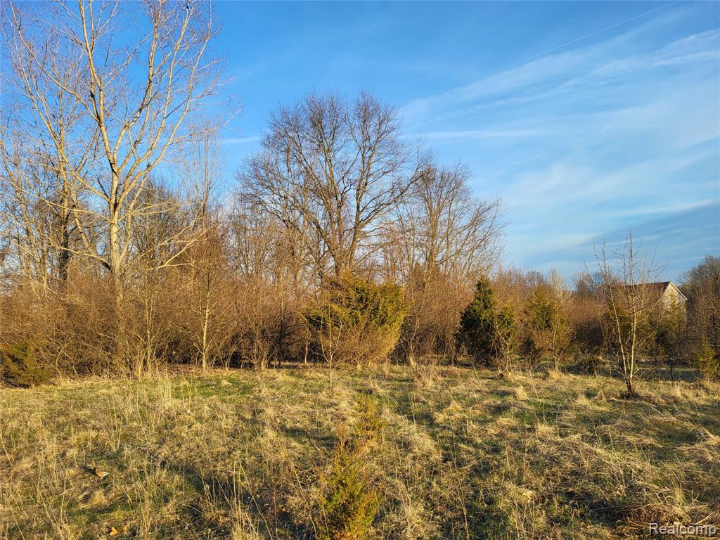 TBD Parcel C Olivia Drive, Milford, MI 48380 — Photo 7