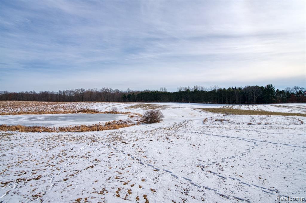 1052 E DEXTER Trail, Dansville, MI 48819 — Photo 51