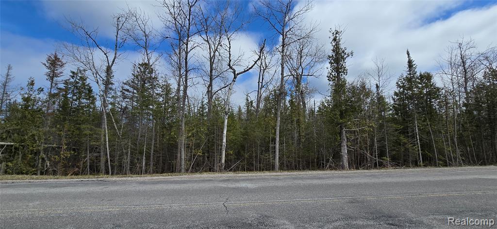 VL E Co Rd 638, Posen, MI 49776 — Photo 3