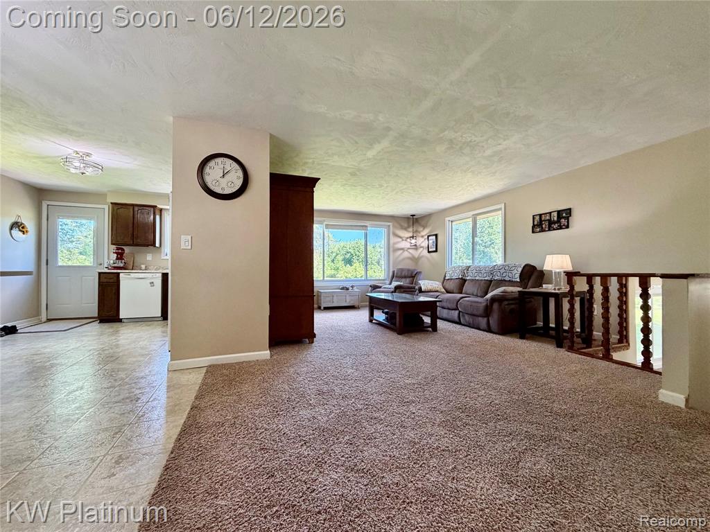 4059 Galbraith Line Road, Croswell, MI 48422 — Photo 9