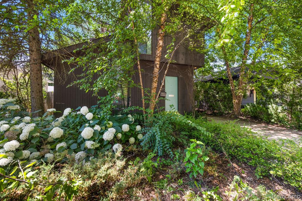 520 S Alexander Avenue, Royal Oak, MI 48067 — Photo 3
