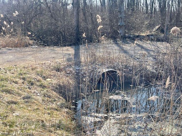 VACANT WAHRMAN, Romulus, MI 48174 — Photo 4