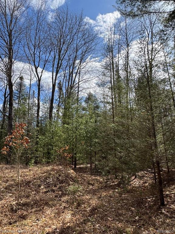 4233 Hardacre Trail, Houghton Lake, MI 48629 — Photo 11