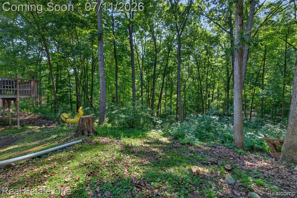 310 S Van Road, Holly, MI 48442 — Photo 62