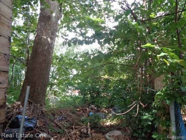 4266 WAVERLY Street, Detroit, MI 48238 — Photo 3