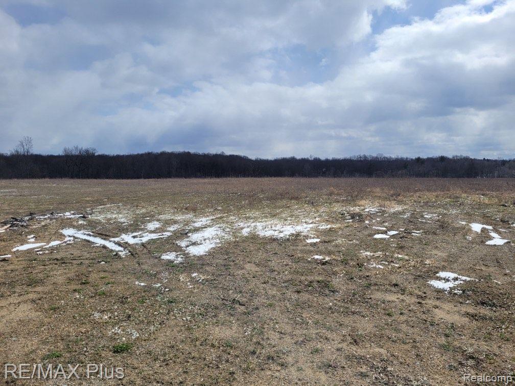 3400 S LAPEER Road, Metamora, MI 48455 — Photo 5