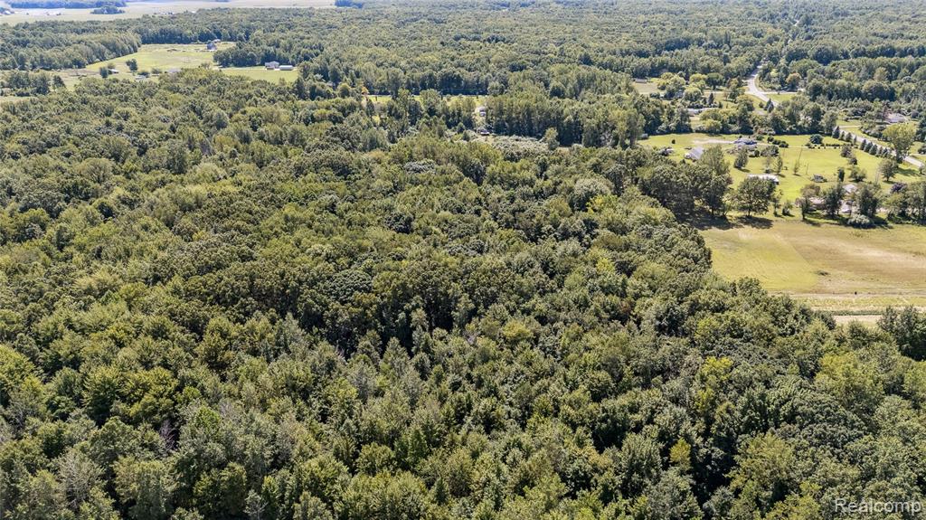11040 Grams Road, Maybee, MI — Photo 60