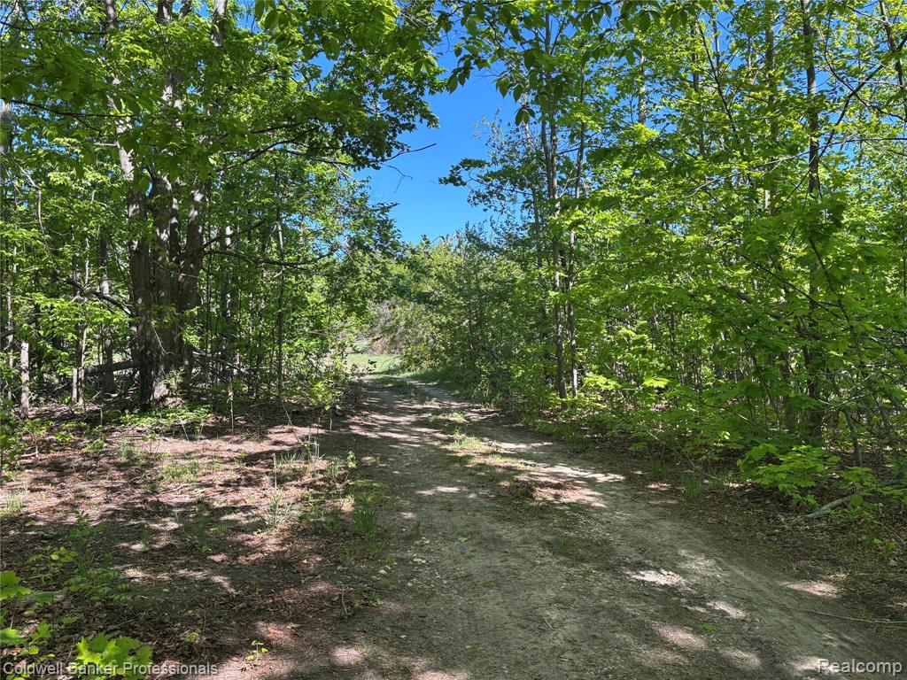 11560 Ashman Hill Road, Boyne Falls, MI 49713 — Photo 23