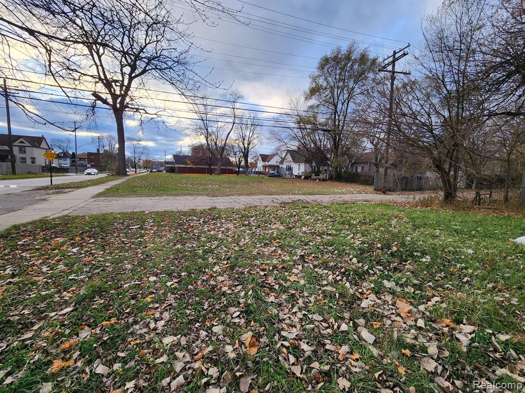 1408 LANSING, Detroit, MI 48209 — Photo 10