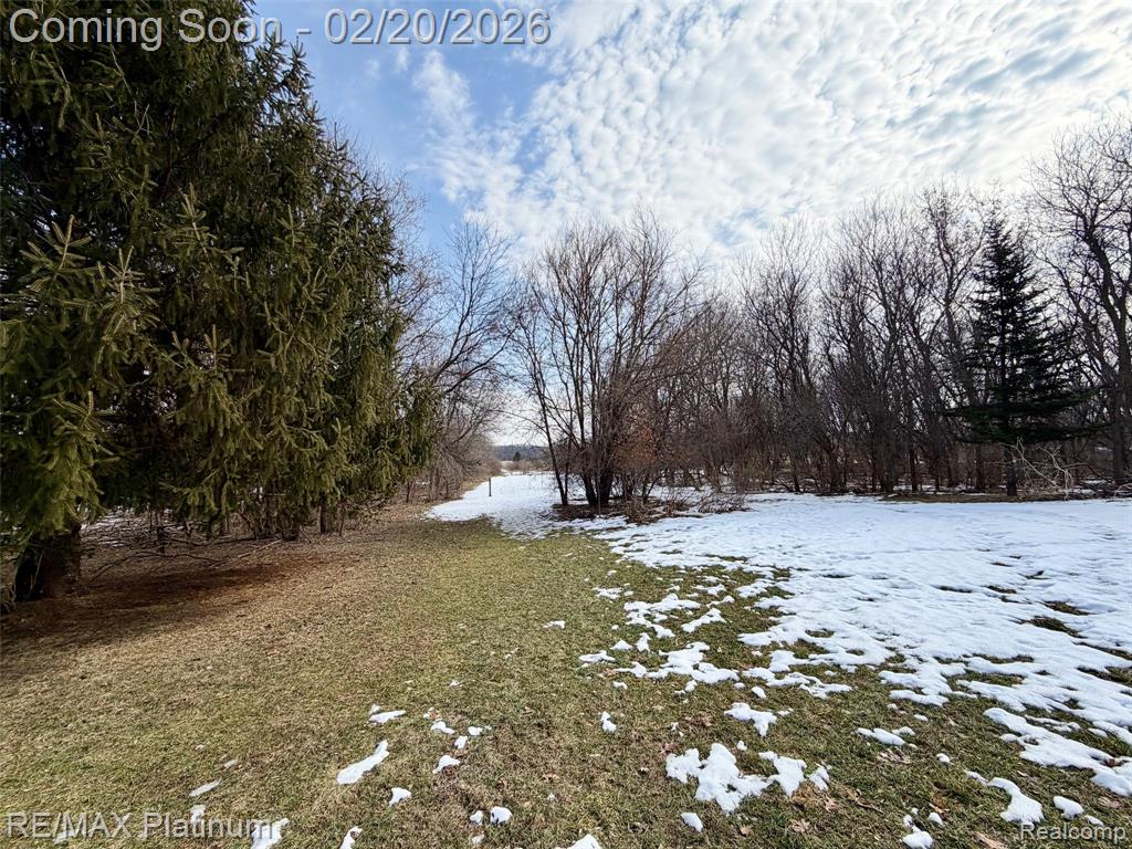 9123 Kinch Road, Jackson, MI 49201 — Photo 19