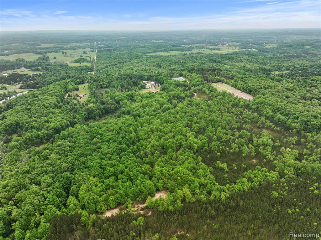 8875 N Lakola Road, Tustin, MI 49688 — Photo 5