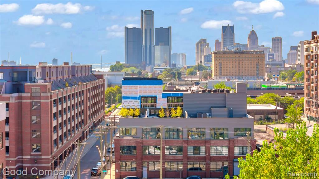 2987 Franklin Street, 2, Detroit, MI 48207 — Photo 6