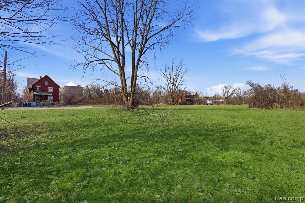 540 Concord Street, Detroit, MI 48207 — Photo 4