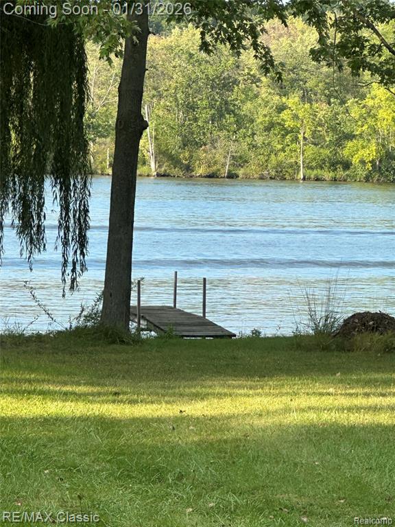14049 Edgewater Drive, Gregory, MI 48137 — Photo 34