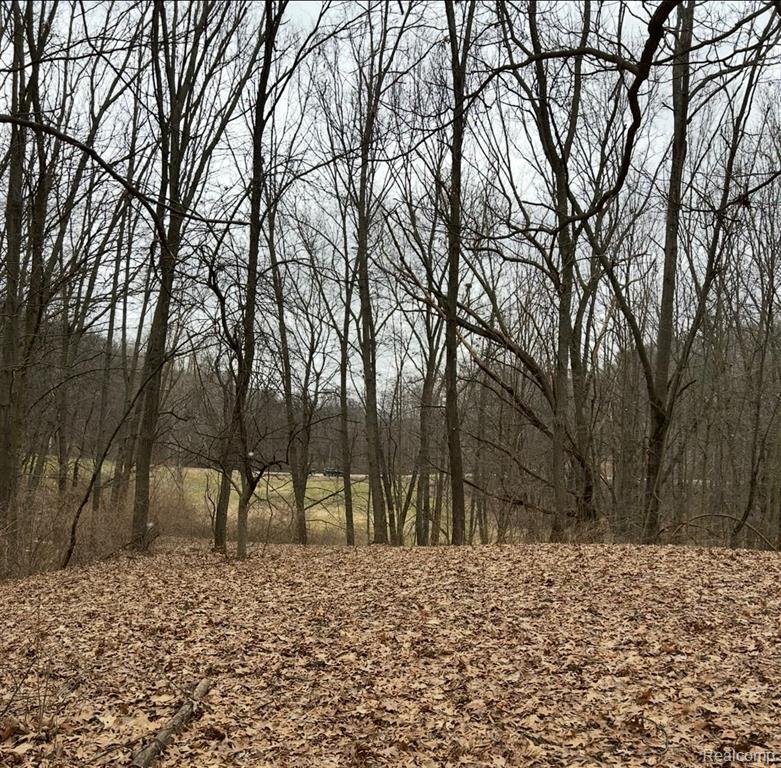 6065 Victoria Drive, Fenton, MI 48430 — Photo 5