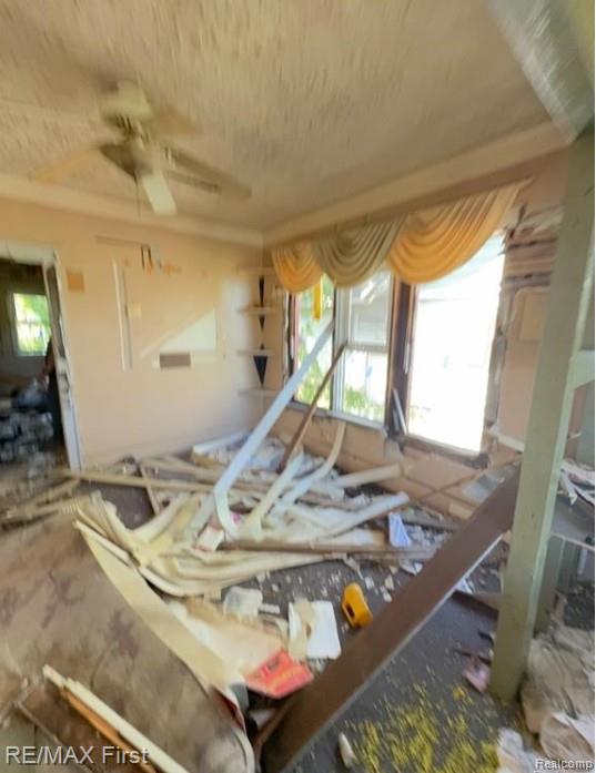 12717 Indiana Street - Photo 3