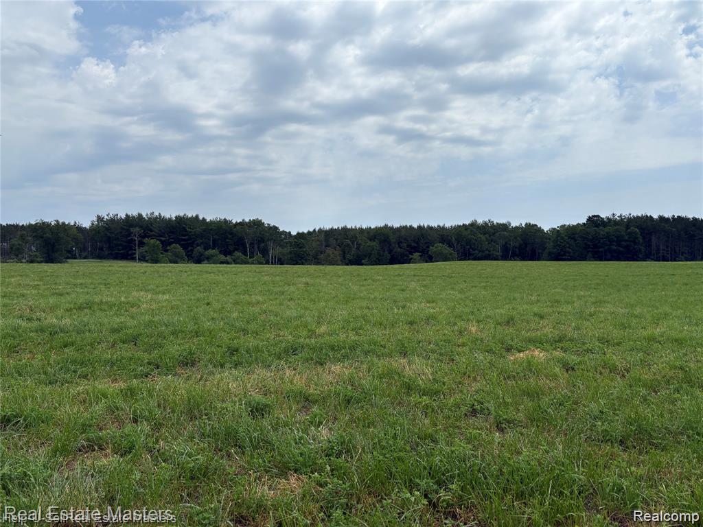 300 W Hubert Road, Spruce, MI — Photo 4