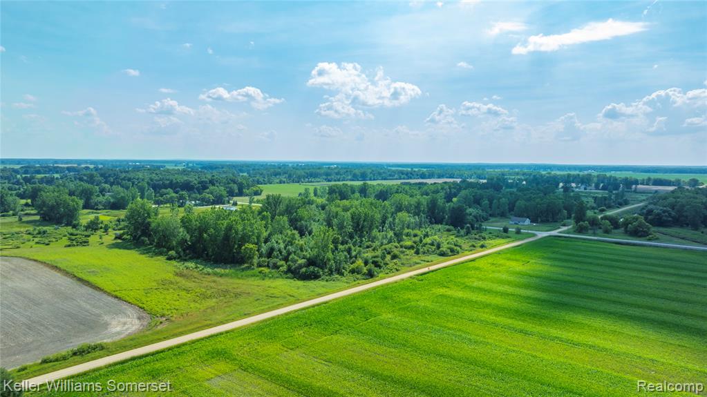 VL Speaker Road, Yale, MI 48097 — Photo 9