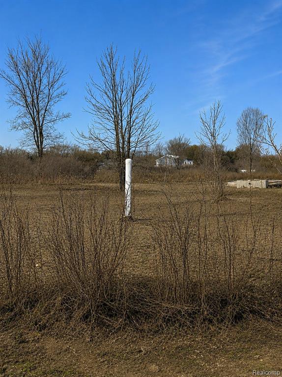 2969 Reeves Road, Riley, MI — Photo 3