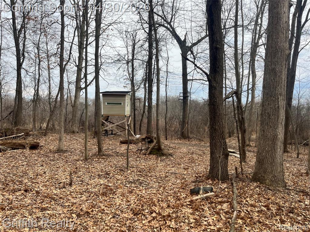 2550 Hartun Drive, Brighton, MI 48114 — Photo 87