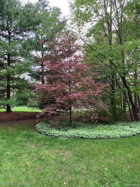 9316 LAKEBLUFF Drive, Clarkston, MI 48348 — Photo 95
