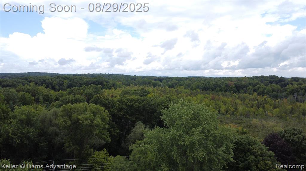 934 Prince Street, Milford, MI 48381 — Photo 60